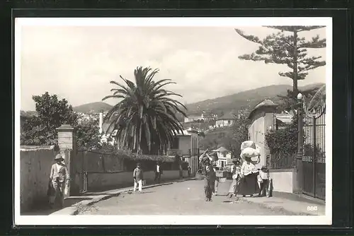 AK Madeira-Funchal, Ortsansicht