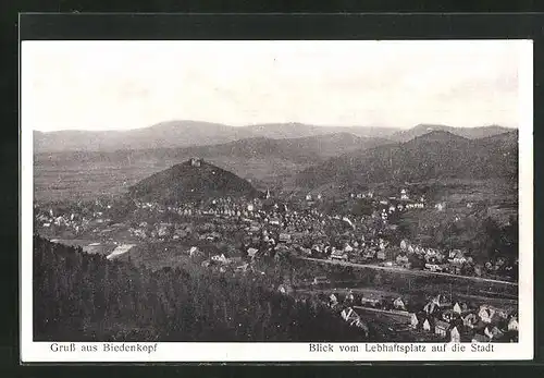 AK Biedenkopf / Lahn, Panoramablick vom Lebhaftsplatz