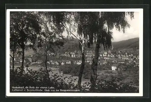 AK Biedenkopf / Lahn, Blick von der Berggartenterrasse