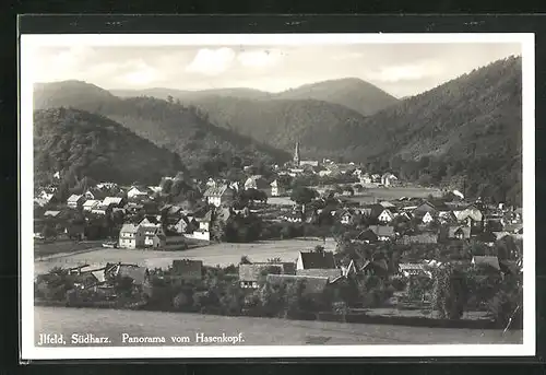 AK Ilfeld / Südharz, Panorama vom Hasenkopf gesehen