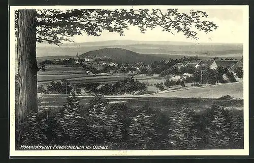 AK Friedrichsbrunn / Ostharz, Panorama