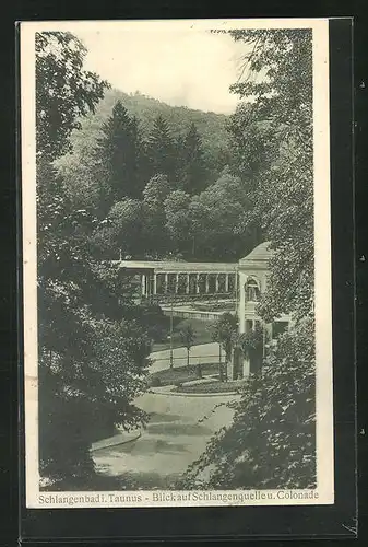 AK Schlangenbad i. Taunus, Blick auf Schlangenquelle und Colonade