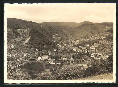 AK Oppenau / Schwarzwald, Panorama