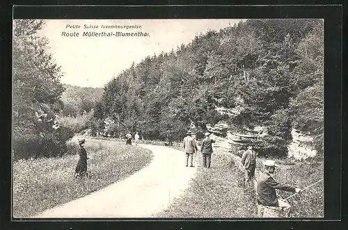 AK Müllerthal, Spaziergänger auf der Strasse nach Blumenthal