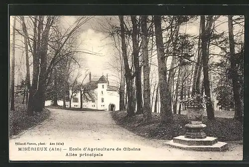 AK Miserieux, Ecole d`Agricultur de Cibeins, Allee principale