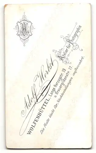 Fotografie Adolf Herbst, Wolfenbüttel, Portrait kleiner Junge im Anzug mit Fliege
