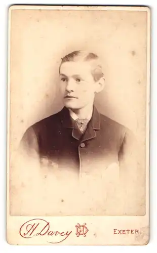 Fotografie H. Davey, Exeter, Portrait bürgerlicher Herr im Anzug mit Krawatte