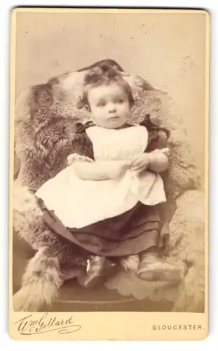 Fotografie W. Gillard, Gloucester, Portrait süsses Kind in Kleidchen auf einem Fell sitzend porträtiert