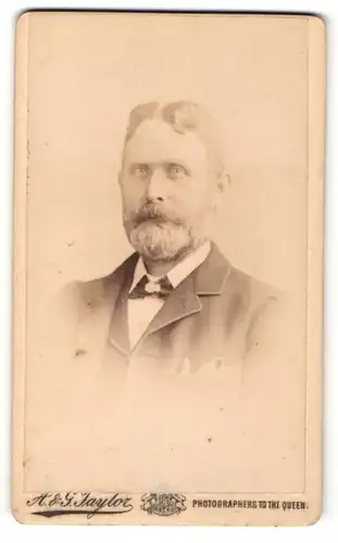 Fotografie A. & G. Taylor, Stockton-on-Tees, Portrait älterer Herr mit Vollbart