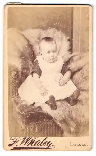 Fotografie F. Whaley, Lincoln, Portrait niedliches Kleinkind im hübschen Kleid auf Fell sitzend