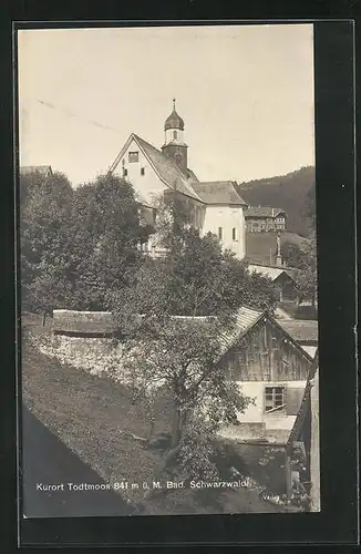 AK Todtmoos im bad. Schwarzwald, Teilansicht des Ortes