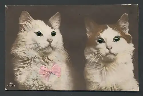 Glasaugen-AK Zwei Katzen nebeneinander
