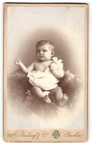 Fotografie A. Jandorf, Berlin, Portrait niedliches Baby auf einem Fell