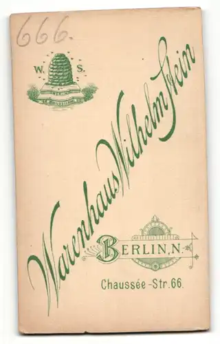 Fotografie Wilhelm Stein, Berlin, Portrait dunkelhaarige junge Schönheit in gerüschter Bluse