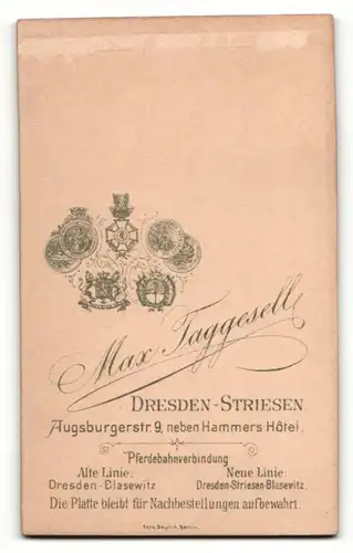 Fotografie M. Taggesell, Dresden, Portrait junger Frau mit zusammengebundenem Haar