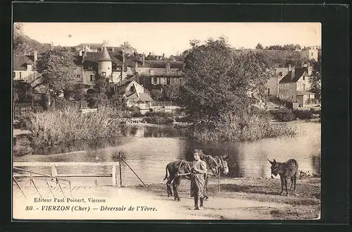 AK Vierzon, Deversoir de l'Yevre