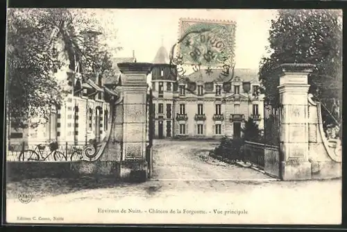 AK Nuits-Saint-Georges, Chateau de la Forgeotte-vue principale