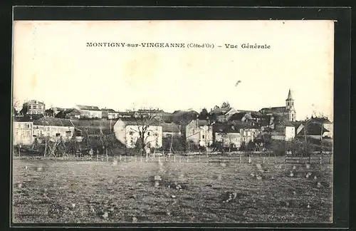 AK Montigny-sur-Vingeanne, Vue Gènèrale