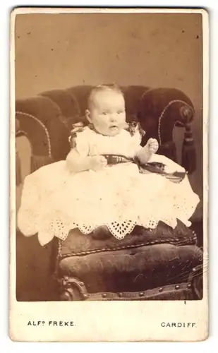 Fotografie Alf. Freke, Cardiff, Portrait süsses kleines Mädchen im weissen Kleidchen mit Schleifen