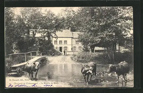 AK Blévy, Le Moulin, Kühe an der Furt vor der Mühle