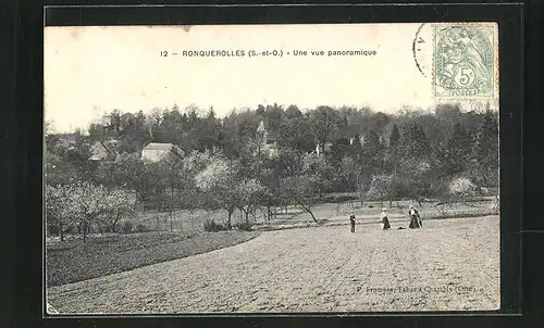 AK Ronquerolles, Une vue panoramique