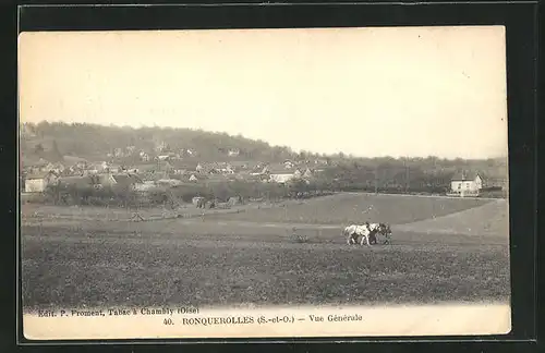 AK Ronquerolles, Vue Générale
