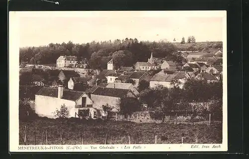 AK Menetreux-le-Pitois, Vue Generale, Les Patis