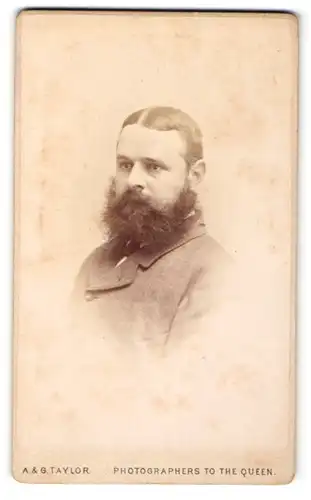 Fotografie A. & G. Taylor, Brighton, Portrait Herr mit Vollbart