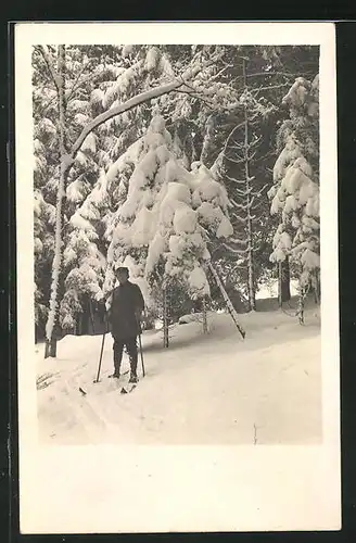 Foto-AK Skiläufer im tief verschneiten Wald