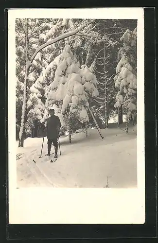 Foto-AK Skiläufer im verschneiten Wald