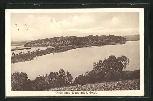 AK Neustadt / Holstein, Blick auf den Burg-Wald