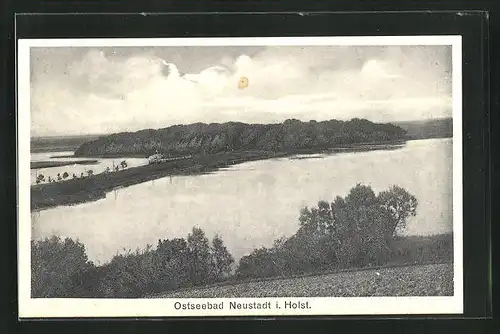 AK Neustadt / Holstein, Blick vom Hotel Seeburg auf den Burg-Wald