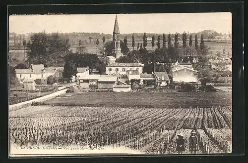 AK La Brede, Vue générale