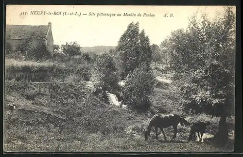 AK Neuvy-le-Roi, Site pittoresque au Moulin de Ponlay