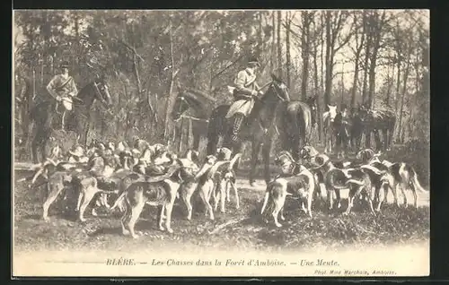 AK Blere, Les Chasses dans la Foret d`Amboise, Une Meute