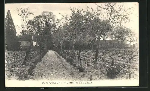 AK Blanquefort, Domaine de Curgan