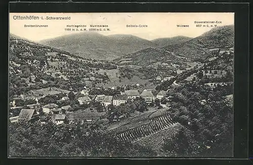 AK Ottenhöfen i. Schwarzwald, Panoramablick auf den Ort