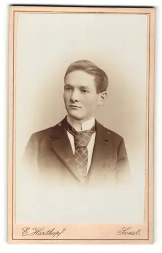 Fotografie E. Hartkopf, Soest, Portrait eines hübschen jungen Mannes mit auffällig schöner karierten Krawatte