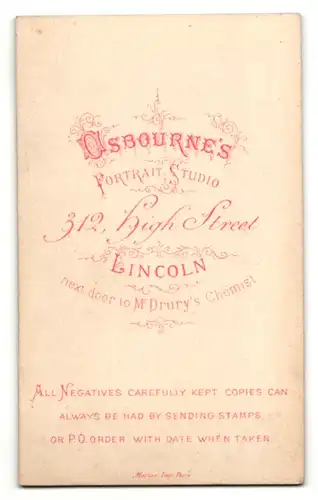 Fotografie Osbourne`s Portrait Studio, Lincoln, Portrait bürgerliche Dame im Festkleid an Sessel gelehnt