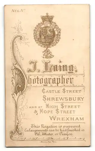 Fotografie J. Laing, Shrewsbury, Dame mit Hochsteckfrisur lehnt an einer Kommode