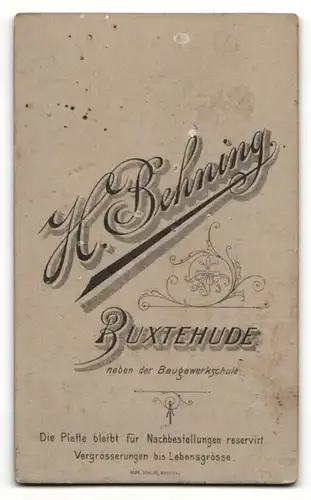 Fotografie H. Behning, Buxtehude, Portrait Dame mit Hochgesteckten Haaren