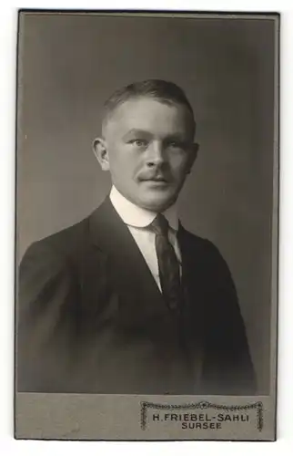 Fotografie H. Friebel-Sahli, Sursee, Herr mit Schnurrbart in elegantem Anzug mit Krawatte