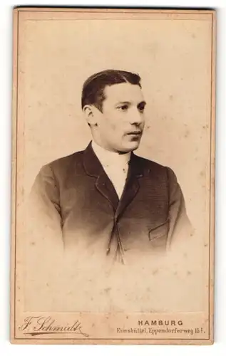 Fotografie F. Schmidt, Hamburg, Portrait bürgerlicher Herr im Anzug mit zeitgenössischer Frisur