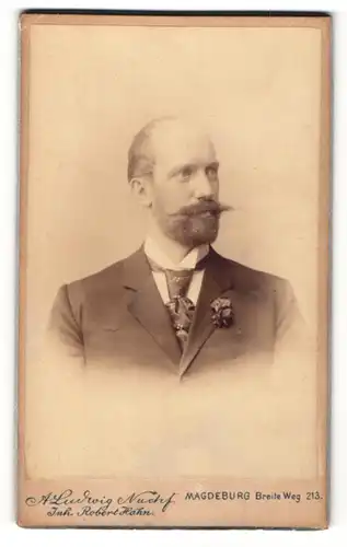 Fotografie A. Ludwig, Magdeburg, Portrait stattlicher Herr mit Halbglatze, Vollbart und Ansteckblume am Jackett