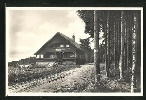 AK Königsfeld / Schwarzwald, Restaurant Kaffee Albblick