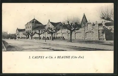 AK Beaune, J. Calvet & Cie, Caves et Celliers de la Maison