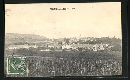 AK Monthelie, Vue generale