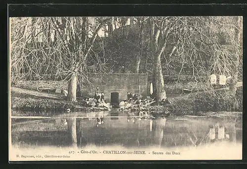 AK Chatillon-sur-Seine, Source des Ducs