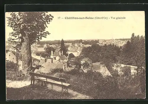 AK Chatillon-sur-Seine, Vue generale