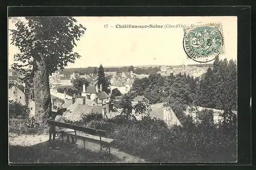 AK Chatillon-sur-Seine, Panoramablick vom Ort